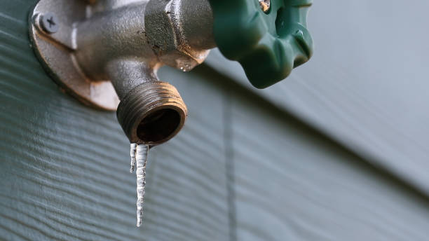 Best Affordable Plumbing Services  in Tlassee, AL